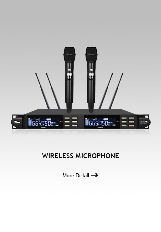 Wireless Microphone System